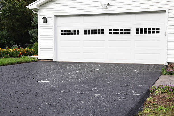 Best Hoarding Cleanup  in Elizabethtown, KY